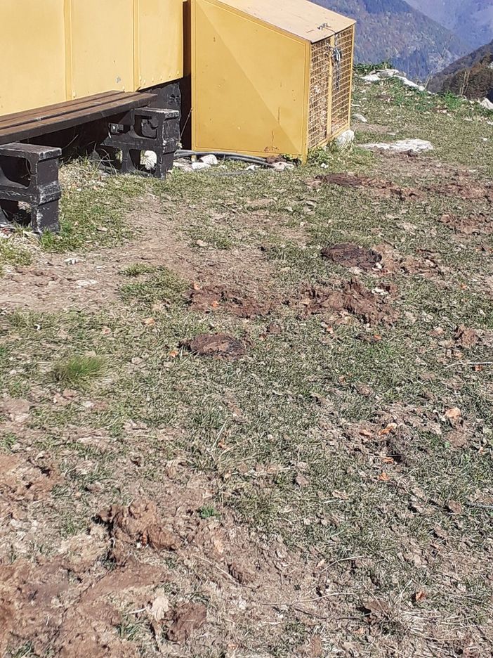 Gli escrementi e l'area della Capanna Barbero