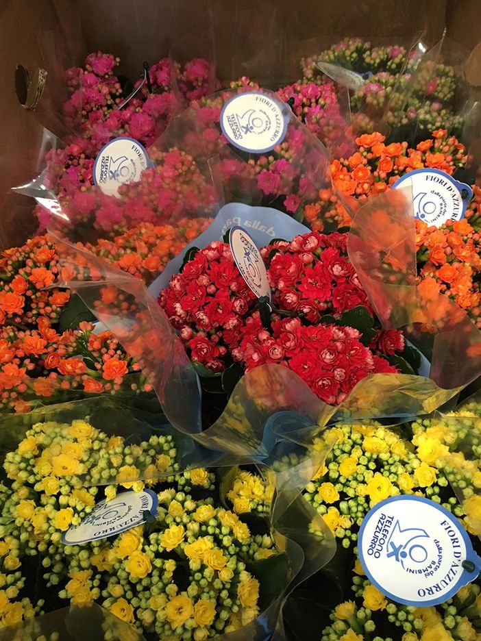 Fossano: fiori per dire no alla violenza sui minori