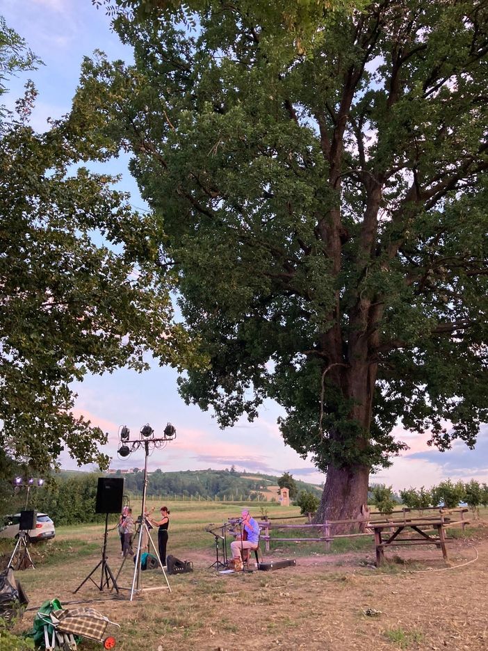 Terza edizione per "I racconti della quercia" a Farigliano Terza edizione per "I racconti della quercia" a Farigliano