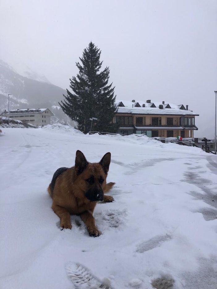 Dieci centimetri di neve al Colle della Maddalena