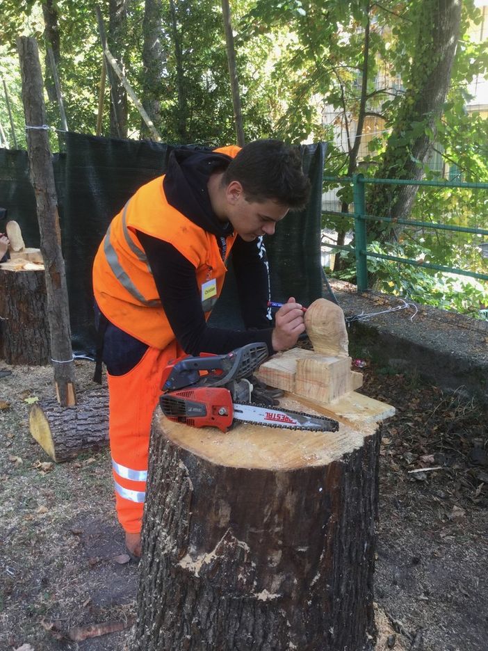Alla scuola dei forestali di Ormea si scolpisce con la motosega Alla scuola dei forestali di Ormea si scolpisce con la motosega