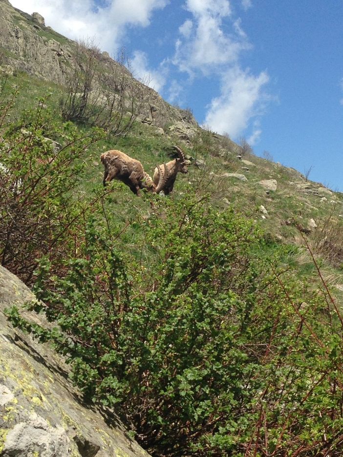 Entracque, lo spettacolo della natura al rifugio Soria Ellena (VIDEO)
