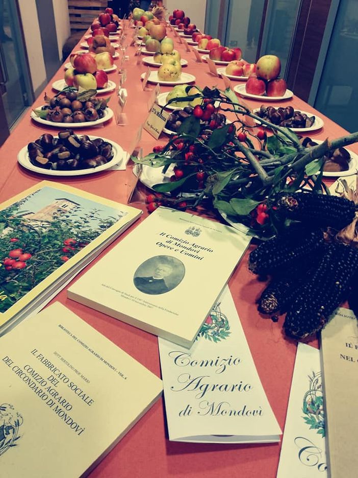 A Mondovì un seminario per degustare la mela A Mondovì un seminario per degustare la mela