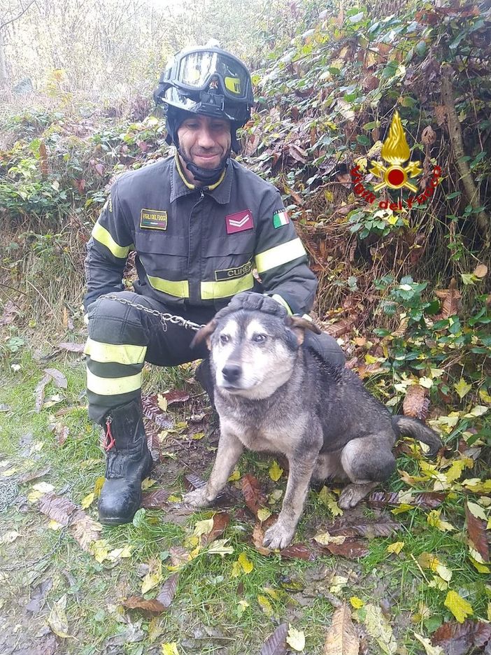 Barge: i vigili del fuoco recuperano un cane scappato