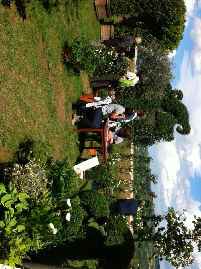 Motra-mercato di fiori, piante ornamentali, da frutto e da orto;