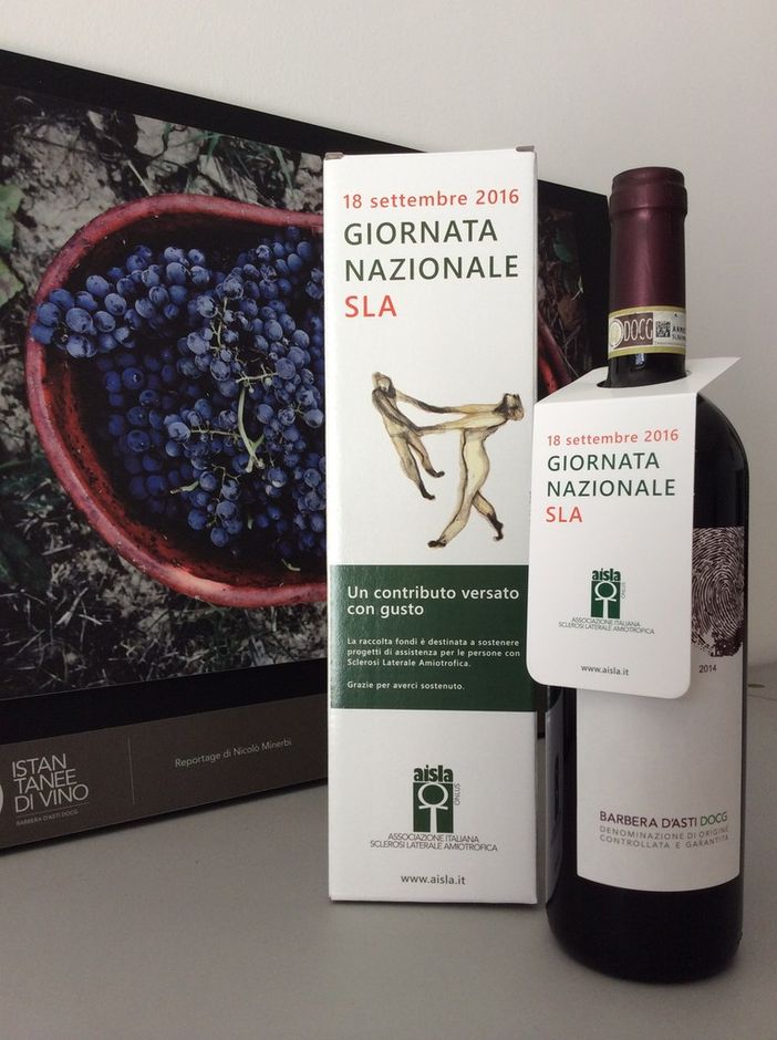 Da sinistra Filippo Mobrici, Massimo Mauro, Giorgio Ferrero e Michele Maggiora