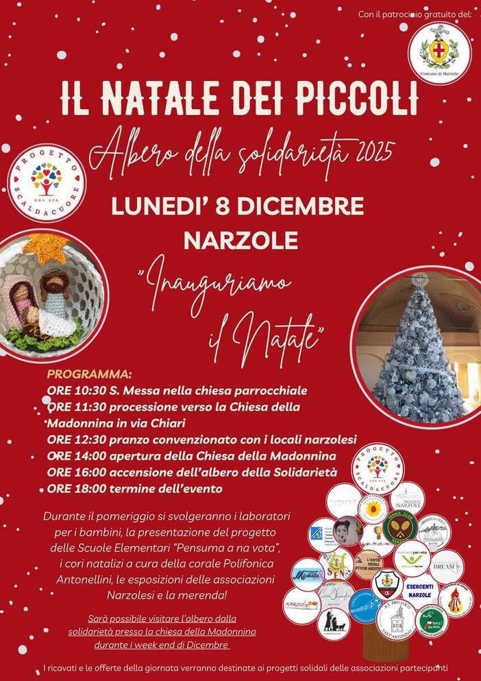 Albero della Solidarietà 2025- Il Natale dei Piccoli