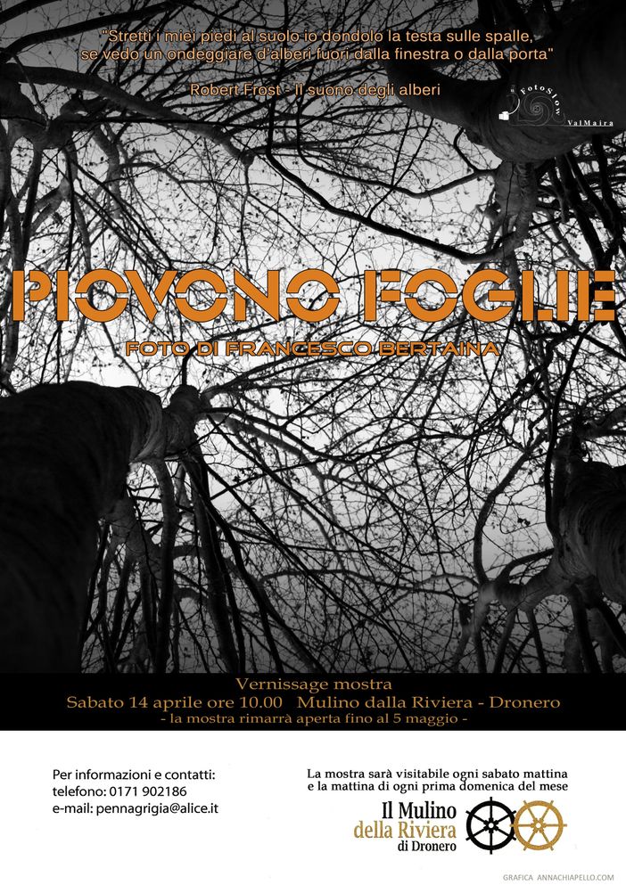 Mostra fotografica a Dronero: "Piovono foglie" di Francesco Bertaina