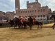 Oca vince il Palio di Siena oggi 3 luglio 2025 Oca vince il Palio di Siena oggi 3 luglio 2025