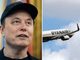 Musk provoca Ryanair: "Quanto mi può costare comprarti?". E lancia il sondaggio su X