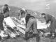 Un fotogramma dal documentario &quot;Il sorriso della patria&quot; (da Wikipedia, utente BlackJack92 - Copyrighted, https://it.wikipedia.org/w/index.php?curid=7725477)