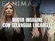Il caso era stato ripreso dalla nota giornalista Selvaggia Lucarelli