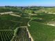 "Qualità e diversificazione: da qui passa il futuro del vino cooperativo" "Qualità e diversificazione: da qui passa il futuro del vino cooperativo"