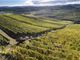 Vigneti Chiarlo a Barolo