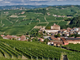 Una veduta di Barolo col suo castello Una veduta di Barolo col suo castello