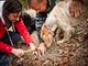 La "cerca" del tartufo (foto Stefania Spadoni - Ente Fiera)