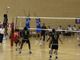 VOLLEY / Memorial Tessitore di Volley, biglietti a ruba per il test match di Imperia tra Cuneo e Cannes