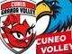 VOLLEY / Colpo di scena sotto rete: Cuneo Granda Volley e Cuneo Volley pronte a collaborare