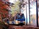 In foto il Treno del Foliage