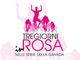Al Castello di Fossano il vernissage per la “Tre Giorni in Rosa nelle Terre della Granda 2026”