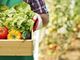 Bra, tutto pronto per l'evento "Orto al Mercato della Terra": appuntamento il 17 maggio