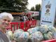 Una Fiera del Tartufo Bianco d'Alba sempre più sostenibile. &quot;Cerchiamo almeno 50 volontari&quot;