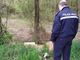 Alba, sette sanzioni per l'abbandono dei rifiuti: tolleranza zero dalla Polizia Municipale