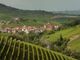 Un suggestivo scorcio delle Langhe nella zona di produzione del Barolo (Foto Enzo Massa)