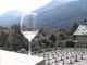 Vino, viti e montagna: questo è Solaris in Val Varaita