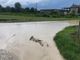 Strade trasformate in canali d'acqua nelle frazioni di Neive