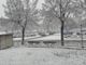 Meteo: prevista neve anche a bassa quota sulla parte meridionale del Piemonte