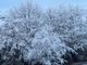 Temperature in calo, precipitazioni e la prima abbondante nevicata sulle Alpi Marittime