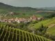 Estate in musica tra Langhe Monferrato Roero