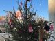 Il CFP Cebano-Monregalese si aggiudica il contest del Circolo delle Idee “Alberi di Natale”