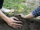 Mondovì, al Comizio Agrario si parla di agricoltura sociale Mondovì, al Comizio Agrario si parla di agricoltura sociale