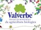 Tisane Valverbe vola con ITA Airways