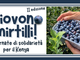 A Cuneo piovono mirtilli: raccolta solidale a sostegno della LVIA A Cuneo piovono mirtilli: raccolta solidale a sostegno della LVIA