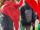 Possibili disagi alla circolazione e al trasporto pubblico domani a causa dello Sciopero generale Possibili disagi alla circolazione e al trasporto pubblico domani a causa dello Sciopero generale