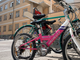Savigliano: "La stagione della bici" premia la mobilità sostenibile studentesca Savigliano: "La stagione della bici" premia la mobilità sostenibile studentesca