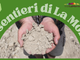 Viaggio nelle Memorie della Terra chiude la rassegna "Sui Sentieri di La Morra" Viaggio nelle Memorie della Terra chiude la rassegna "Sui Sentieri di La Morra"