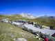 I 1.500 ciclisti al colle dell’Agnello