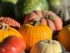 Coldiretti: la “zucca economy” di Halloween vale oltre 30 milioni di euro Coldiretti: la “zucca economy” di Halloween vale oltre 30 milioni di euro