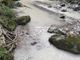 Frabosa Sottana, acque sporche e moria di trote nel torrente Maudagna [FOTO]