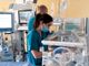 Cuneo: domenica in ospedale festa per i bimbi nati prematuri Cuneo: domenica in ospedale festa per i bimbi nati prematuri