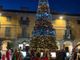 Saluzzo, l'albero di Natale sul rialzo di piazza Garibaldi