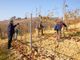 Il progetto “8Pari” della cooperativa sociale Progetto Emmaus è stato recentemente insignito a Roma del premio nazionale “Coltiviamo agricoltura sociale”