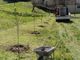 Nuova linfa verde a Trinità in via Marconi e al parco Allea Nuova linfa verde a Trinità in via Marconi e al parco Allea