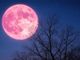 Luna piena rosa sul Maira, a Racconigi una camminata notturna lungo il sentiero fluviale Luna piena rosa sul Maira, a Racconigi una camminata notturna lungo il sentiero fluviale