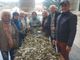 Volontari del Santuario a Bra, che preparano rami di ulivo Volontari del Santuario a Bra, che preparano rami di ulivo