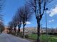 Garessio, al via la potatura dei tigli in Piazza d’Armi in vista dei nuovi interventi sportivi Garessio, al via la potatura dei tigli in Piazza d’Armi in vista dei nuovi interventi sportivi
